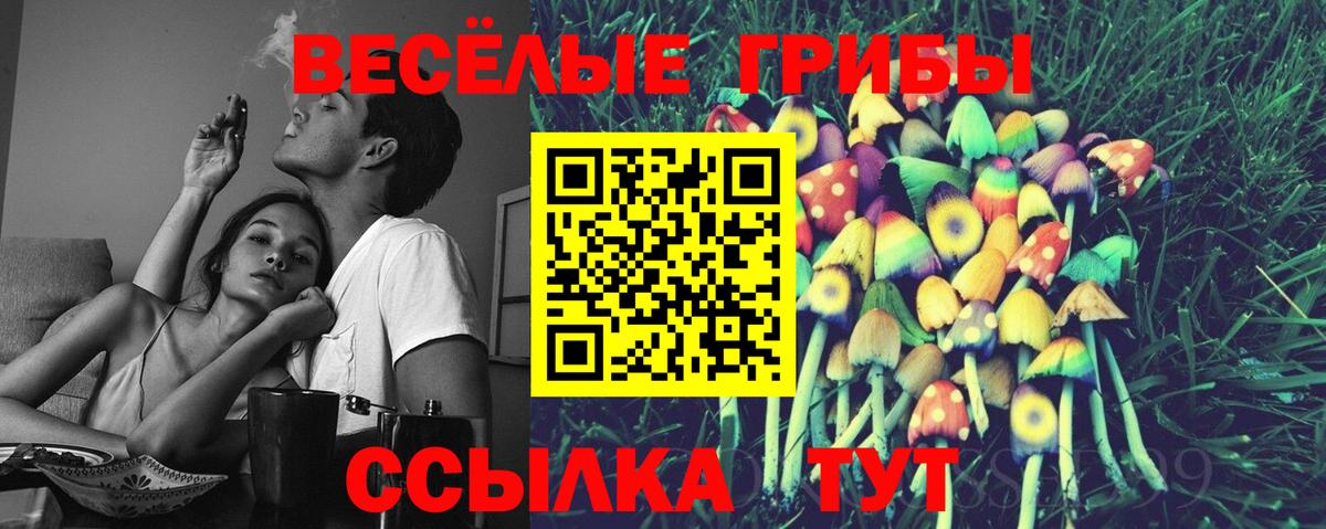 Печора  Галлюциногенные грибы Magic Shrooms  Вход с VPN  Галлюциногенные грибы Psilocybine cubensis 
